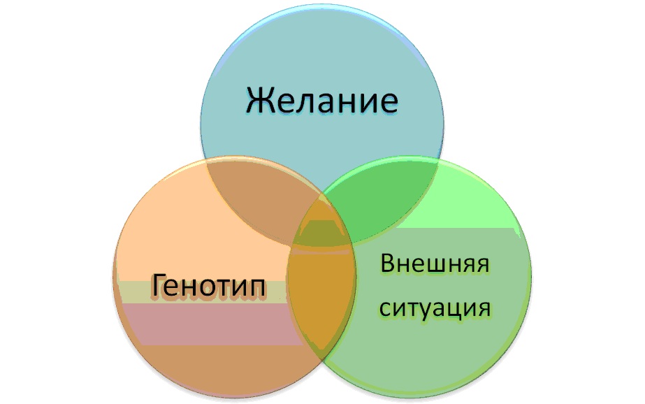 Лидер и фундамент лидерства